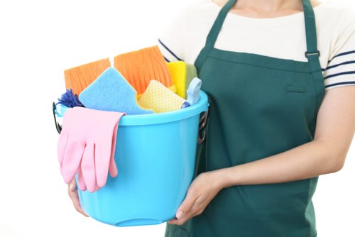 Professional carpet cleaners working in a Crystal Palace home