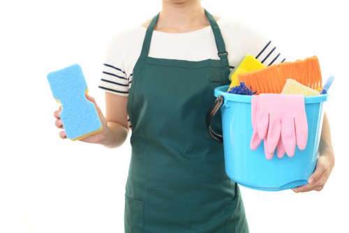 Curtain cleaning service in Crystal Palace for a bright living room window