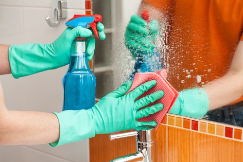 Domestic cleaning service for a Crystal Palace home