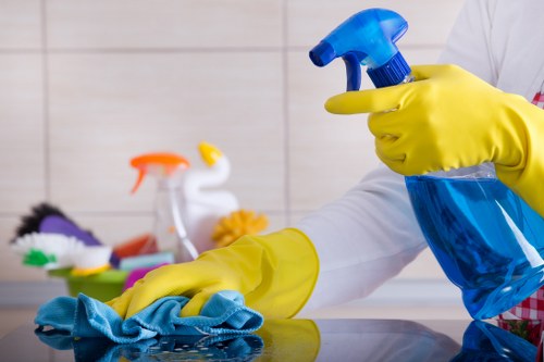 Professional oven cleaning service for Crystal Palace homes