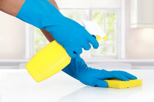 Professional hard floor cleaning for Crystal Palace homes and businesses