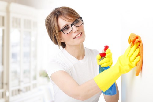 Regular house cleaning in a Crystal Palace flat