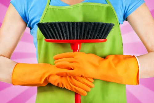 Local oven cleaning for range cookers and built-in appliances