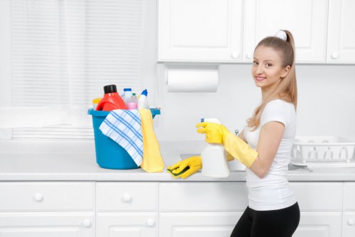 Professional house cleaning service for a home in Crystal Palace