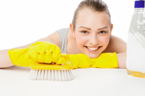 Local cleaner carrying out scheduled cleaning in a Crystal Palace flat