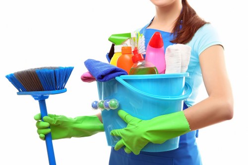 Residential upholstery cleaning for a Crystal Palace property