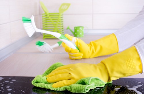 End of tenancy cleaning in a Crystal Palace kitchen and bathroom
