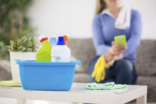 Recurring home cleaning service for Crystal Palace residents