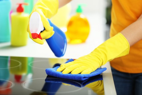 Digital payment security with SSL and PCI compliance for carpet cleaning services