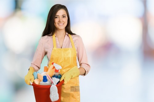 Professional gutter maintenance for homes and shops in Crystal Palace