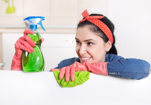 Experienced cleaning team serving Crystal Palace and nearby areas