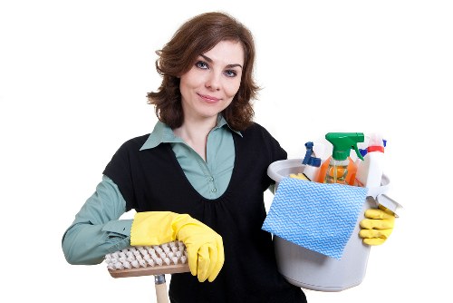 Upholstery cleaner treating a fabric sofa in Crystal Palace