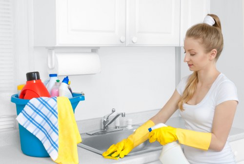 Professional cleaning of wine and food stains on a sofa