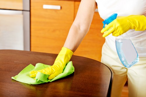 Local carpet cleaner treating stains in a Crystal Palace living room